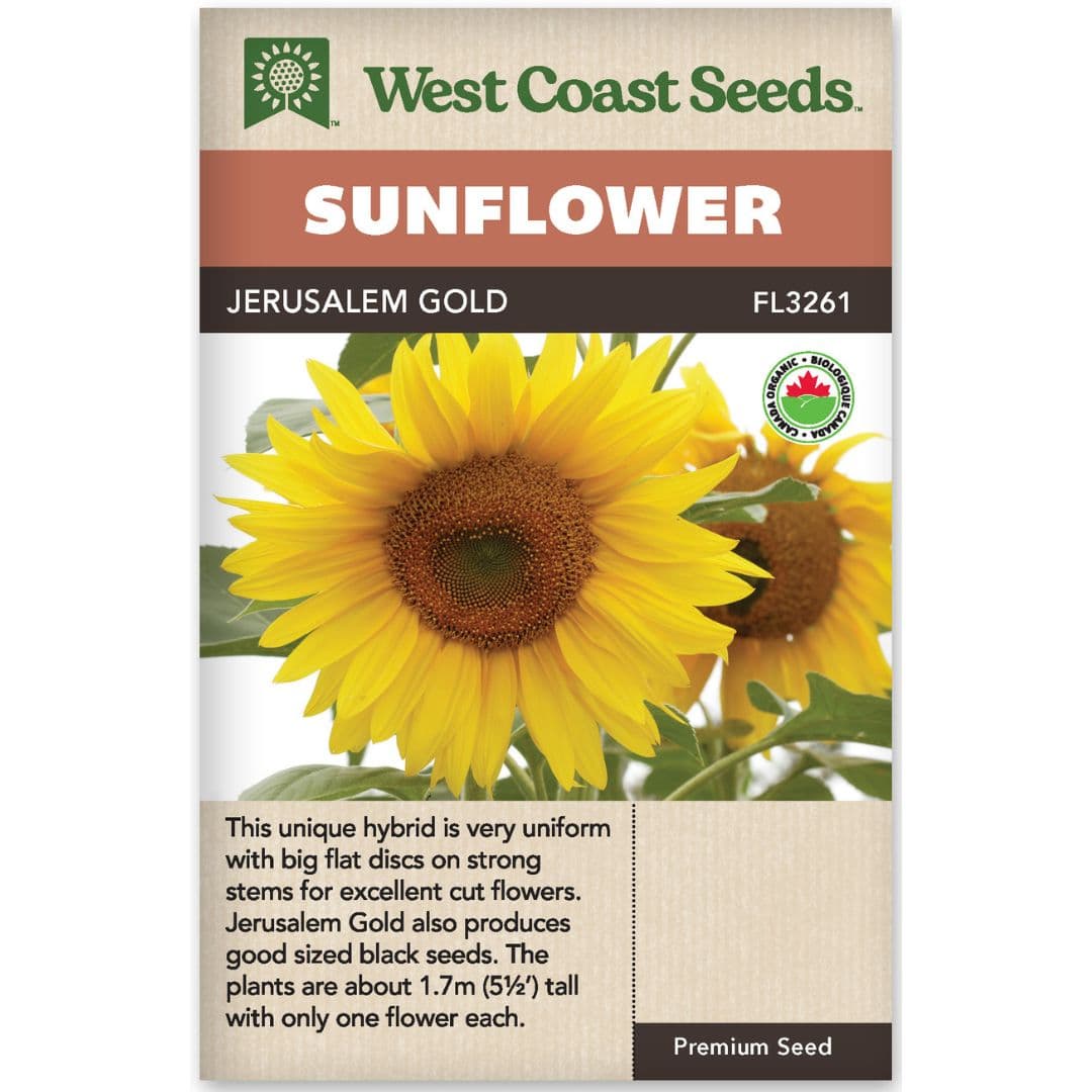 Organic Sunflower Jerusalem Gold - West Coast Seeds