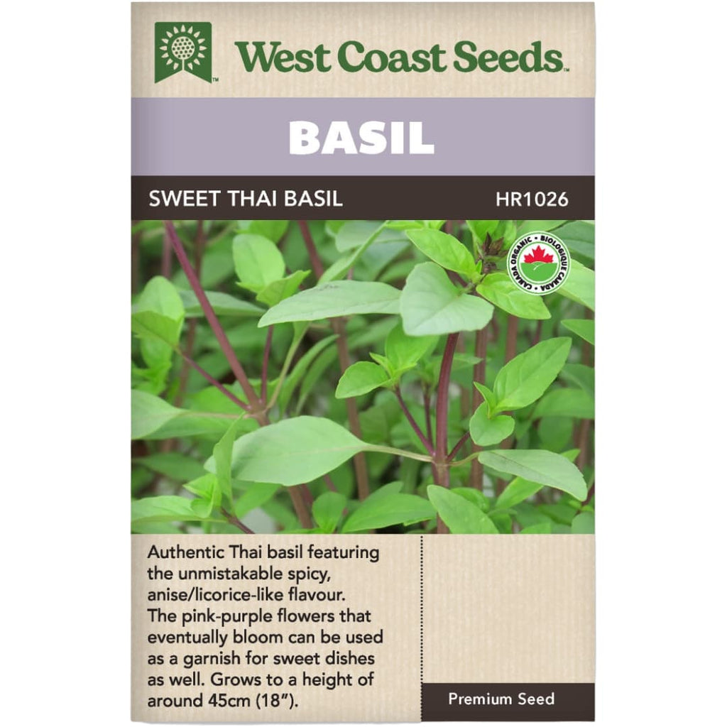 Organic Basil Sweet Thai West Coast Seeds Wildwood Outdoor Living