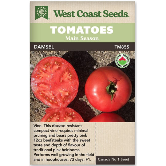 Organic Tomato Damsel - West Coast Seeds