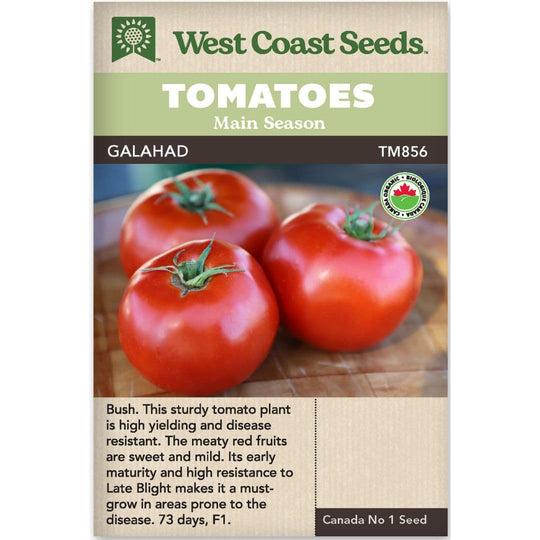 Organic Tomato Galahad - West Coast Seeds