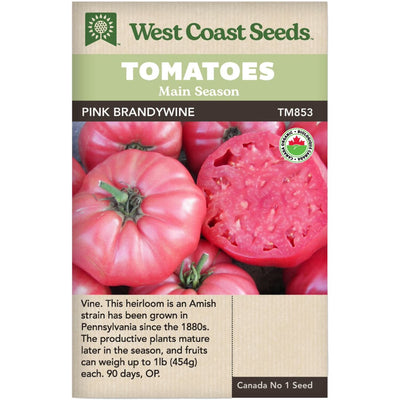 Organic Tomato Pink Brandywine - West Coast Seeds
