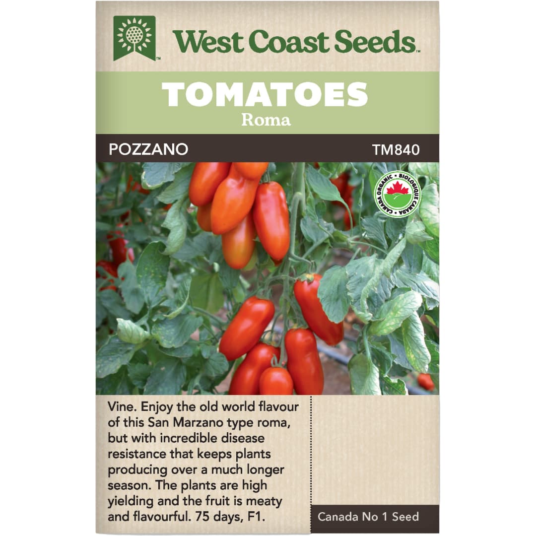 Organic Tomato Pozzano - West Coast Seeds