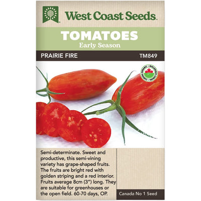 Organic Tomato Prairie Fire - West Coast Seeds