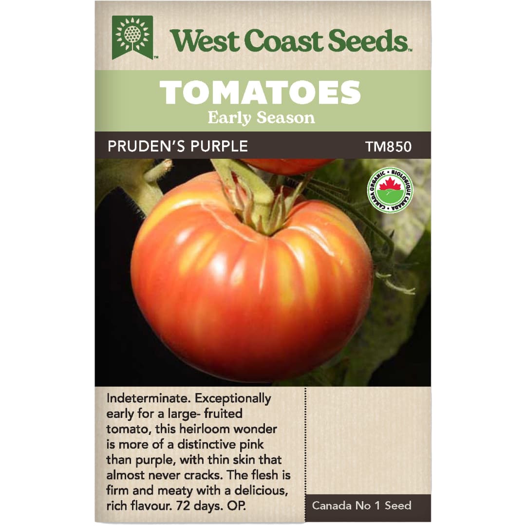 Organic Tomato Pruden's Purple - West Coast Seeds