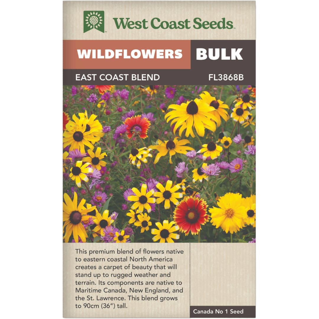 BULK Wildflowers East Coast Blend - West Coast Seeds