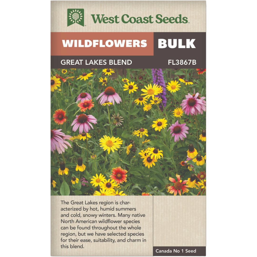 BULK Wildflowers Great Lakes Blend - West Coast Seeds