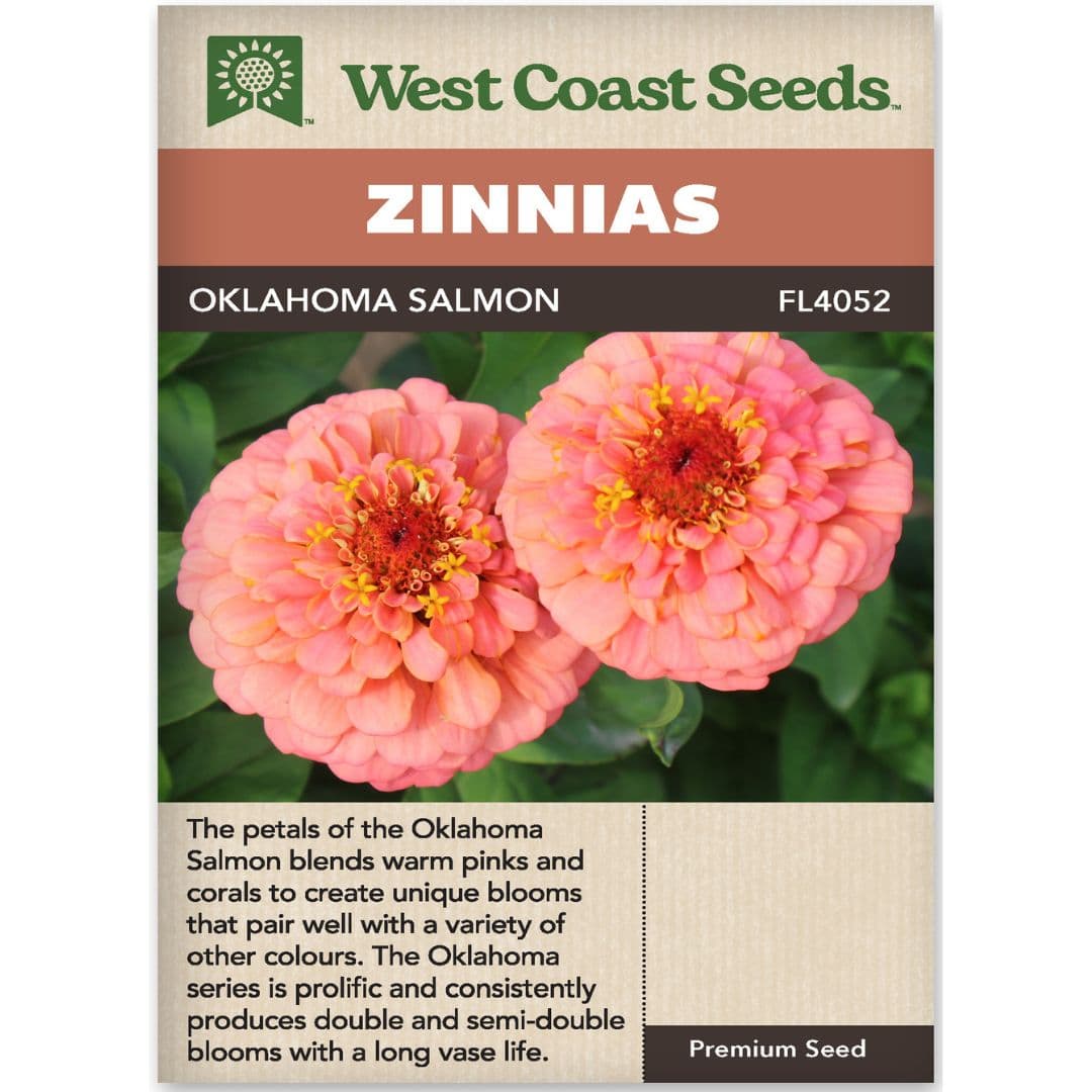 Zinnia Oklahoma Salmon - West Coast Seeds