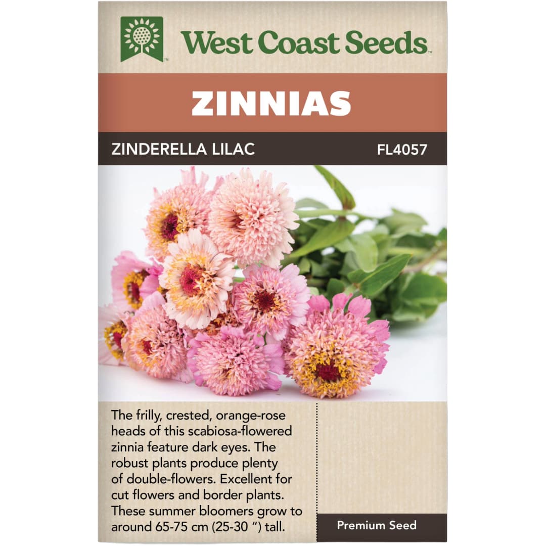 Zinnia Zinderella Lilac - West Coast Seeds