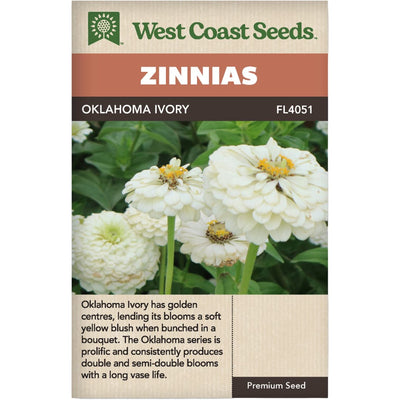 Zinnia Oklahoma Ivory - West Coast Seeds
