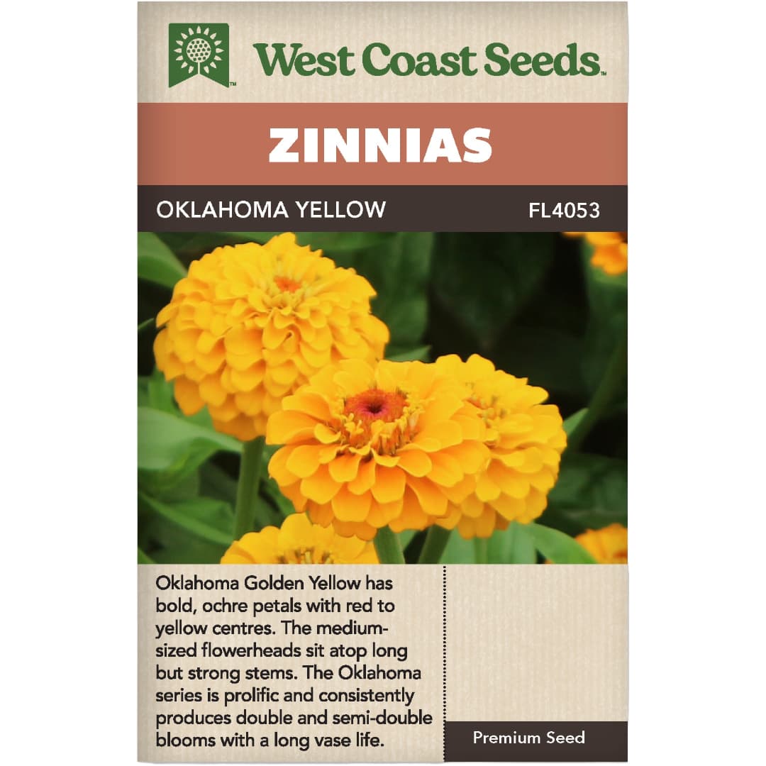 Zinnia Oklahoma Yellow - West Coast Seeds
