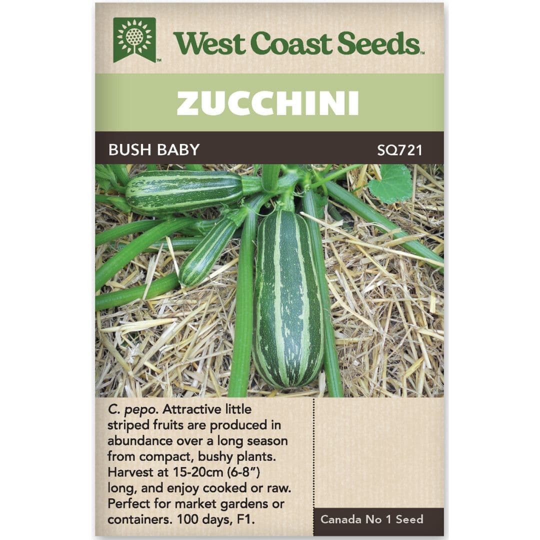 Squash Zucchini Bush Baby - West Coast Seeds