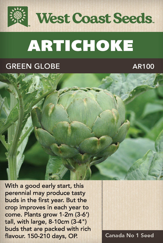 Artichoke Green Globe - West Coast Seeds