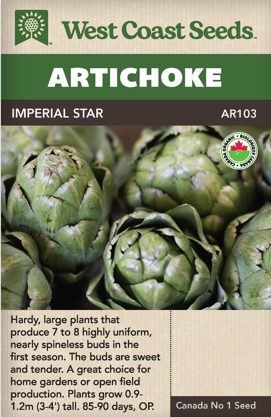 Organic Artichoke Imperial Star - West Coast Seeds