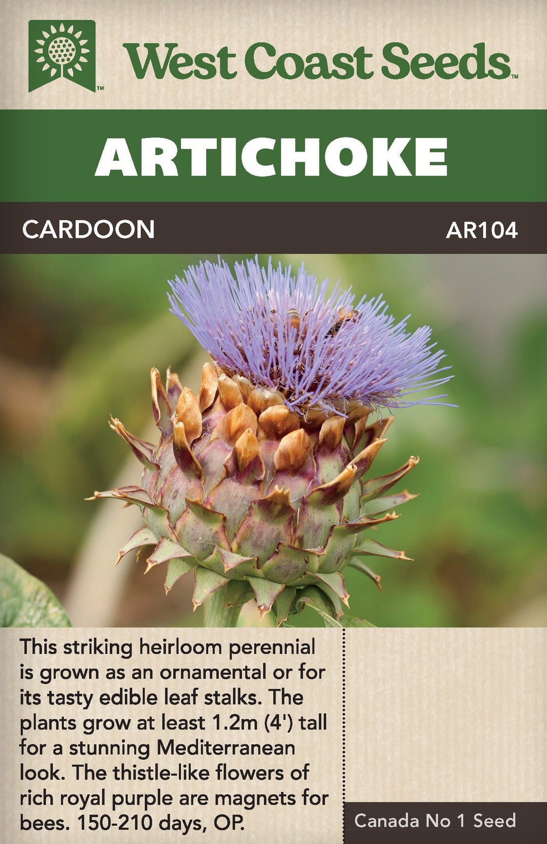 Artichoke Cardoon - West Coast Seeds
