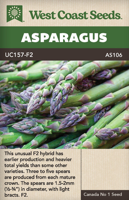 Asparagus UC157 F2 - West Coast Seeds