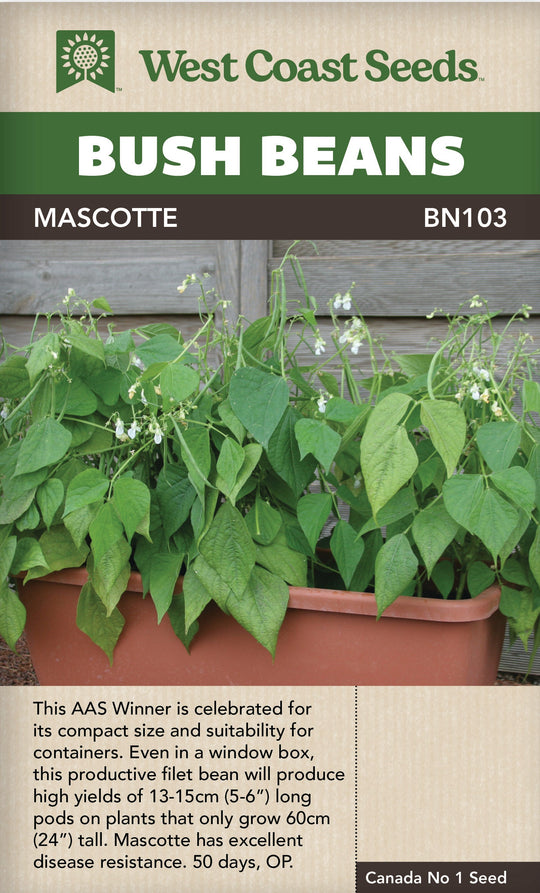 Bean Mascotte Bush - West Coast Seeds