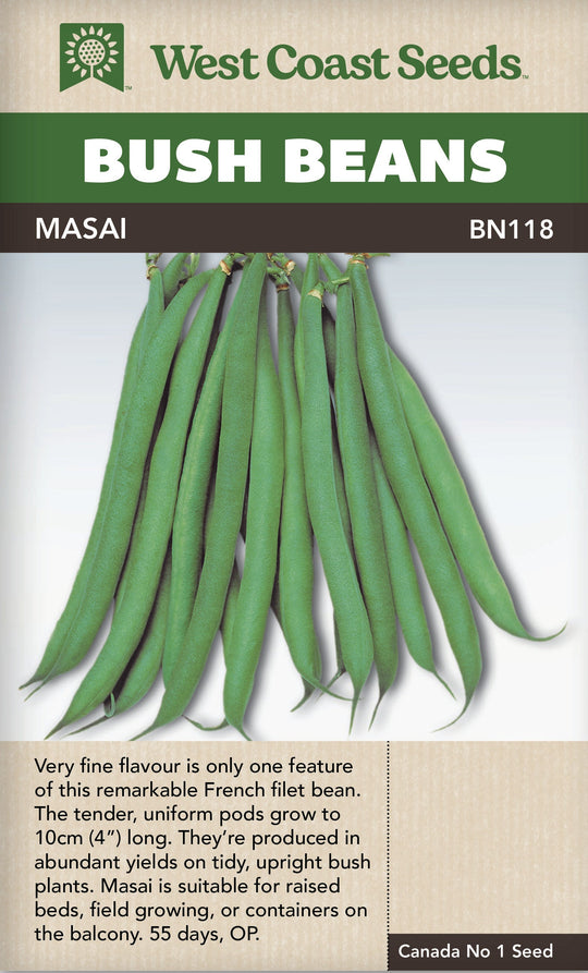 Bean Masai Bush - West Coast Seeds