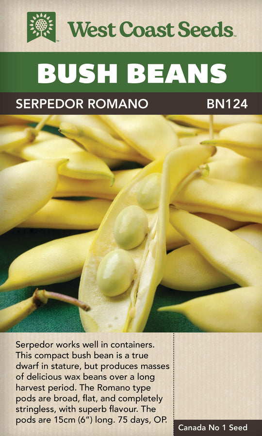 Bean Serpedor Wax Romano Bush - West Coast Seeds