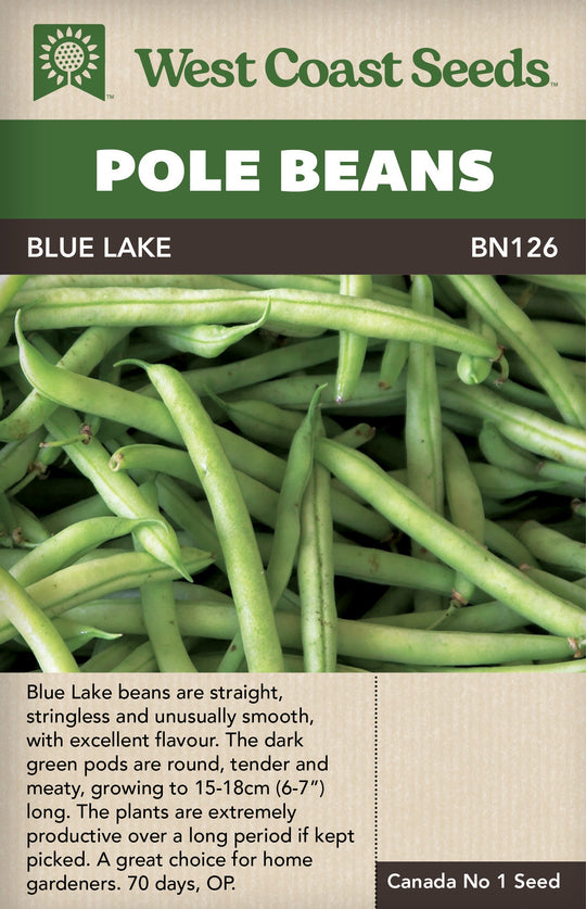 Bean Blue Lake Pole - West Coast Seeds