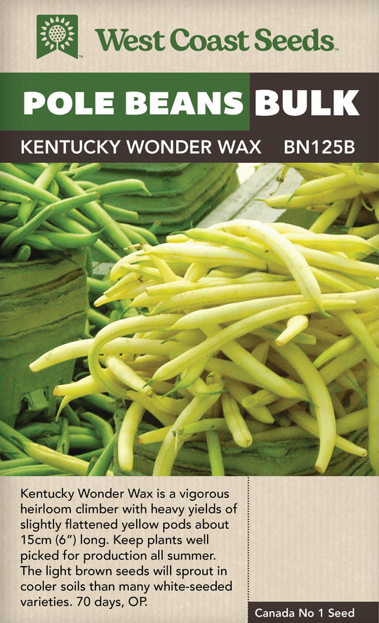 BULK Bean Kentucky Blue Pole - West Coast Seeds