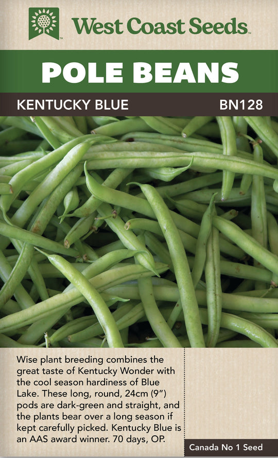 Bean Kentucky Blue Pole - West Coast Seeds