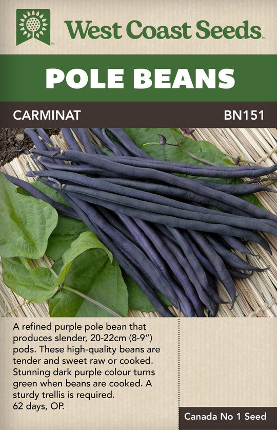 Bean Carminat Pole - West Coast Seeds