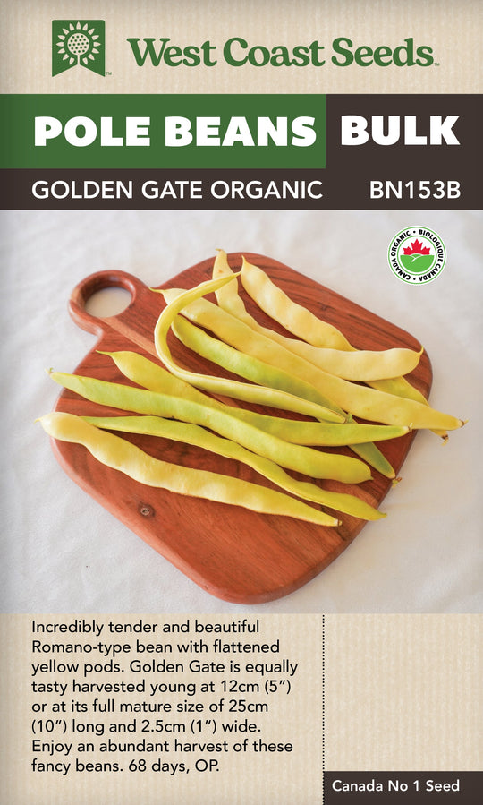 Organic Beans Golden Gate Pole Bulk - West Coast Seeds