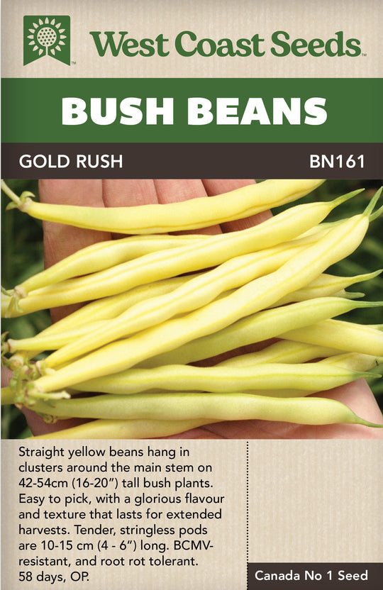 Bush Beans Gold Rush - West Coast Seeds