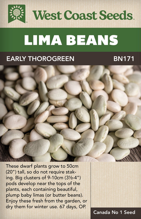 Bean Early Thorogreen Lima - West Coast Seeds
