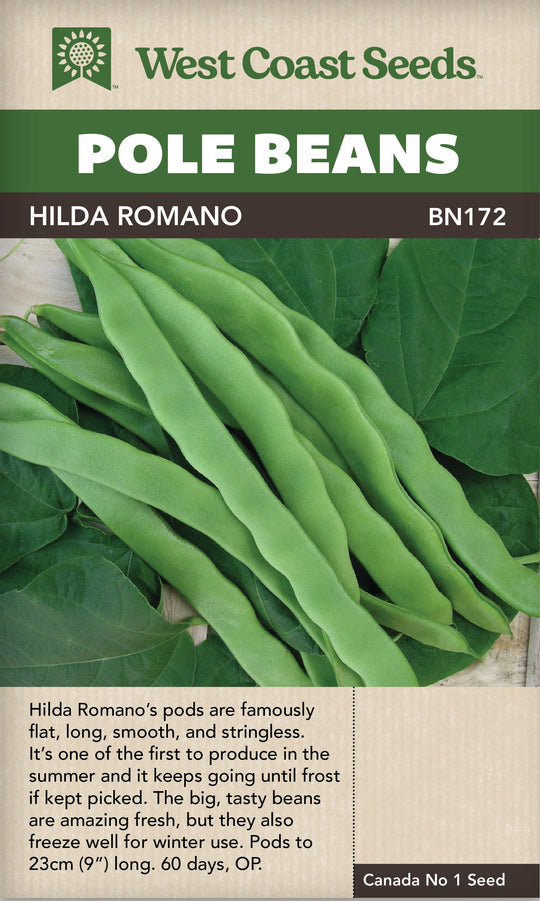 Bean Hilda Romano Pole - West Coast Seeds
