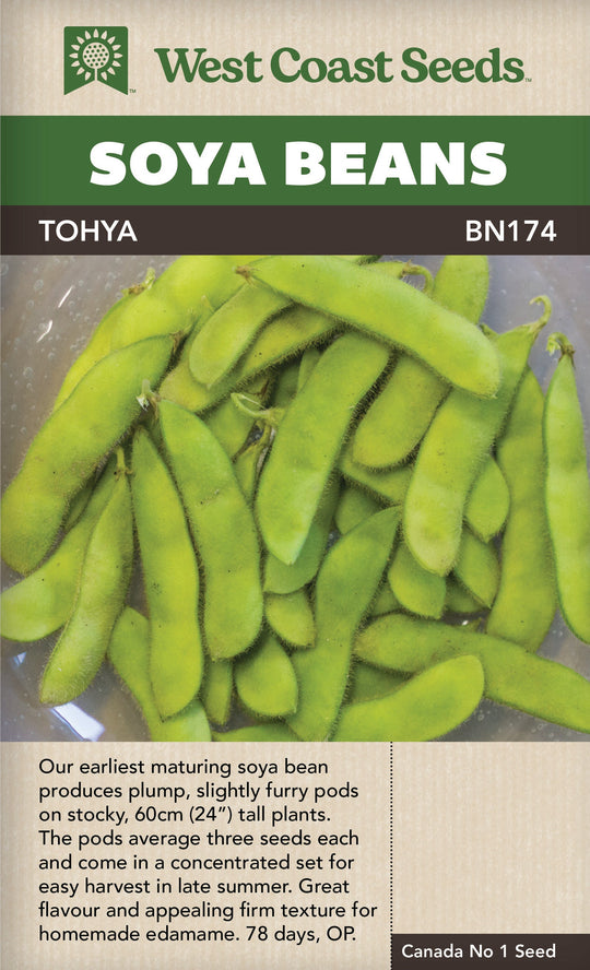 Bean Tohya Edamame - West Coast Seeds