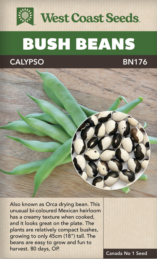 Bean Calypso - West Coast Seeds
