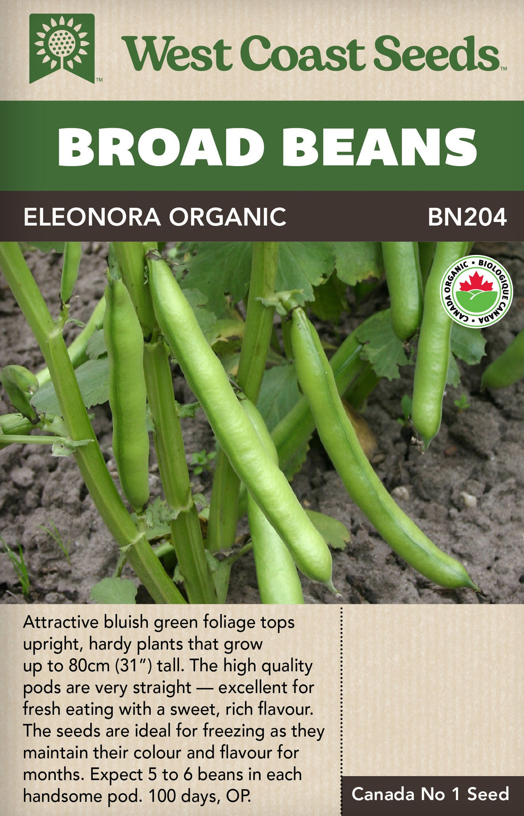 Organic Broad Bean Eleonora - West Coast Seeds