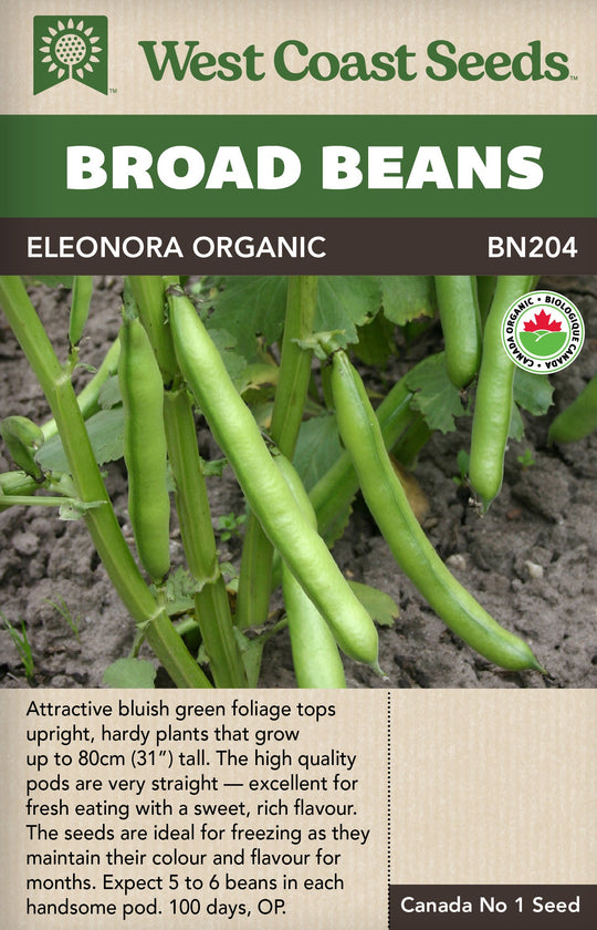 Organic Broad Bean Eleonora - West Coast Seeds
