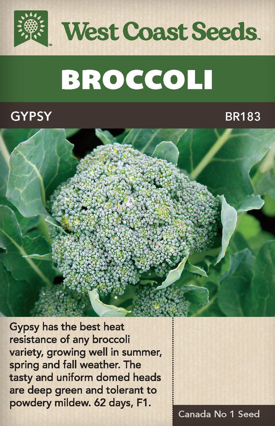 Broccoli Gypsy - West Coast Seeds