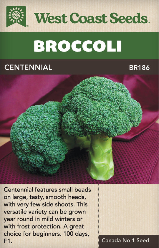 Broccoli Centennial - West Coast Seeds