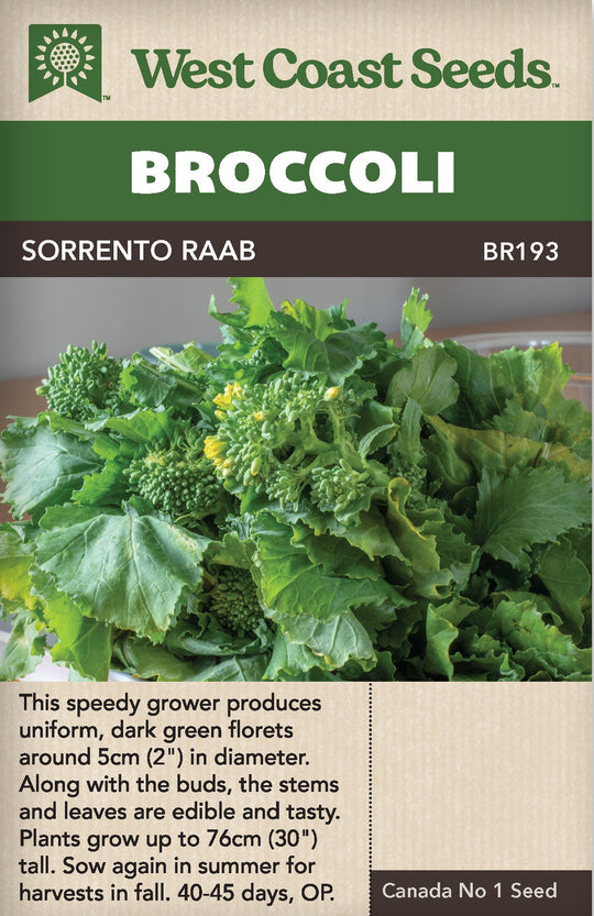 Broccoli Sorrento Raab - West Coast Seeds