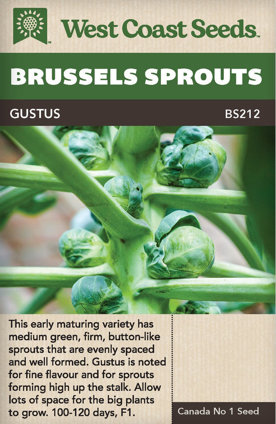 Brussels Sprouts Gustus - West Coast Seeds