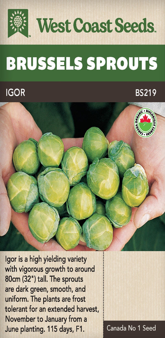 Organic Brussels Sprouts Igor - West Coast Seeds