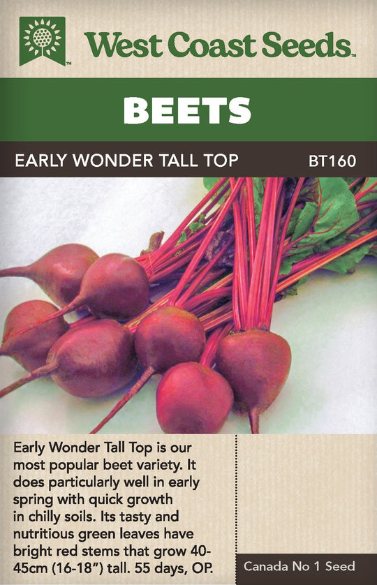 Beet Early Wonder Tall Top - West Coast Seeds