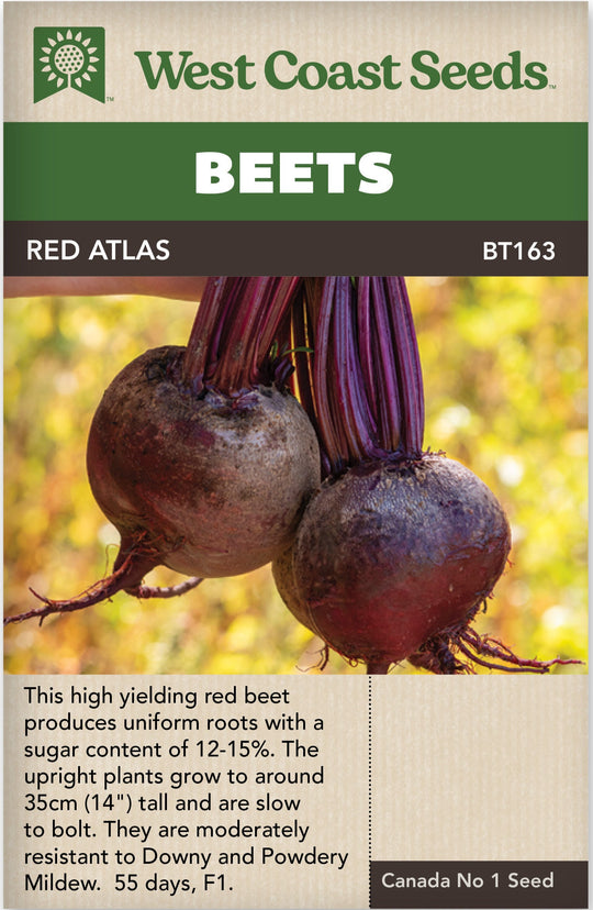 Red Atlas - West Coast Seeds