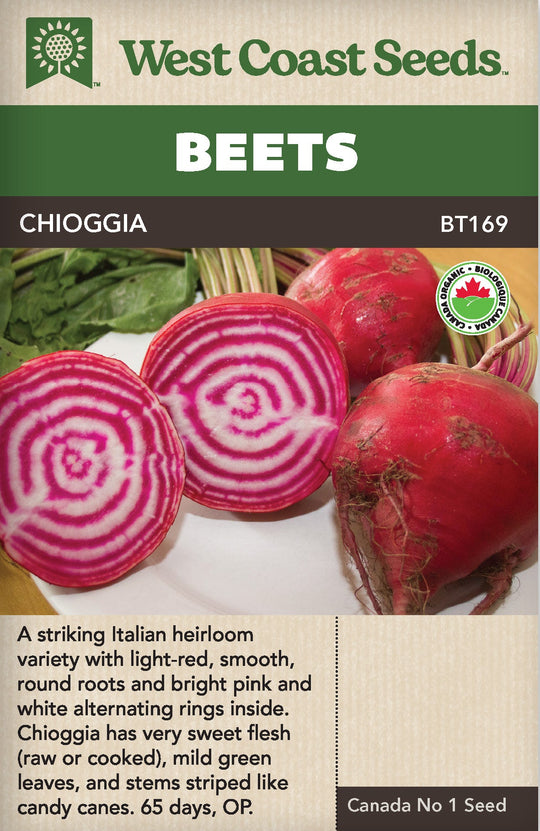 Organic Beet Chioggia - West Coast Seeds