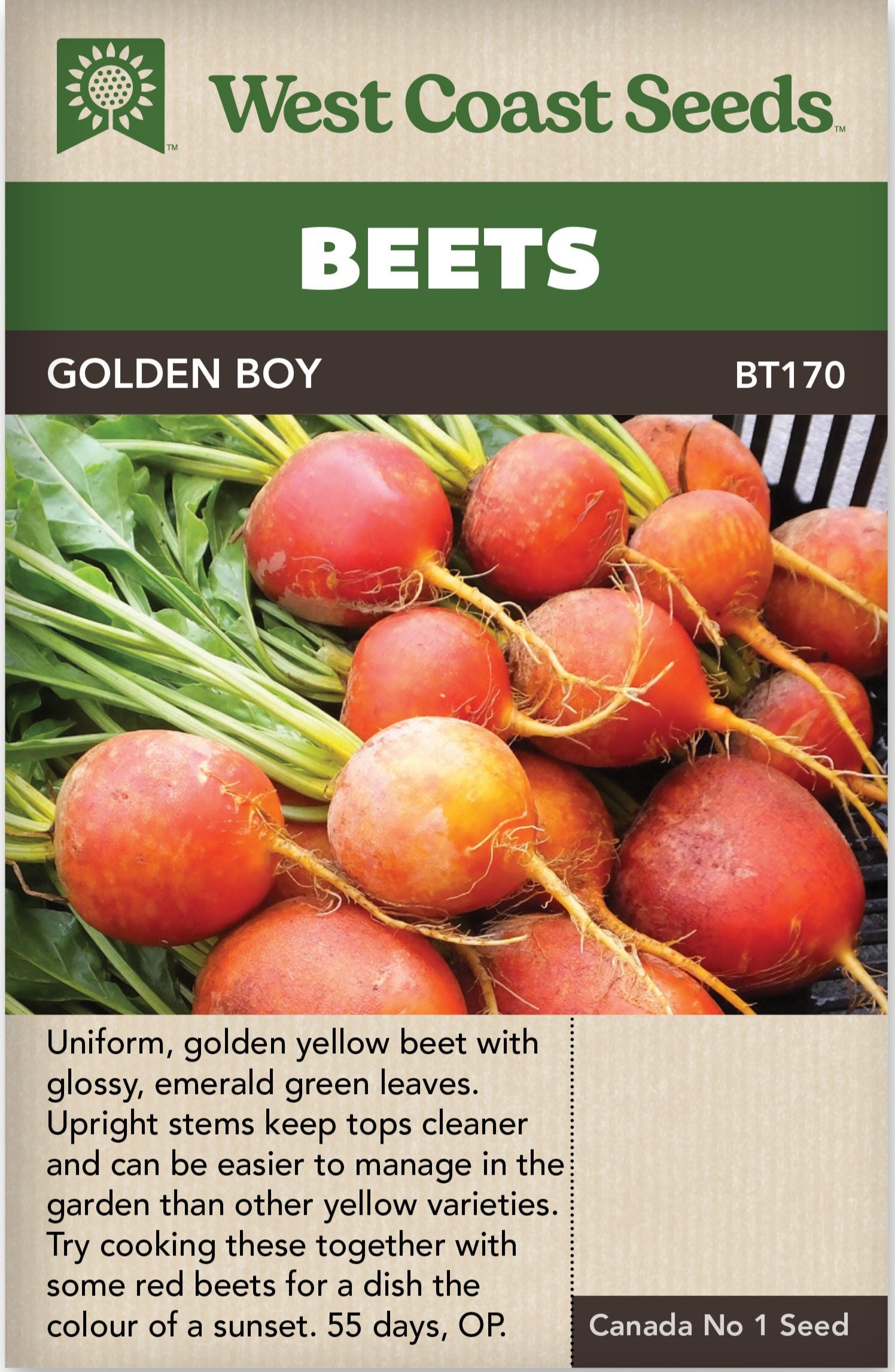 Beet Golden Boy - West Coast Seeds