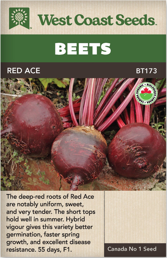 Organic Beet Red Ace - West Coast Seeds