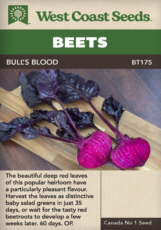 Beet Bull's Blood - West Coast Seeds