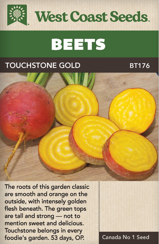 Beet Touchstone Gold - West Coast Seeds
