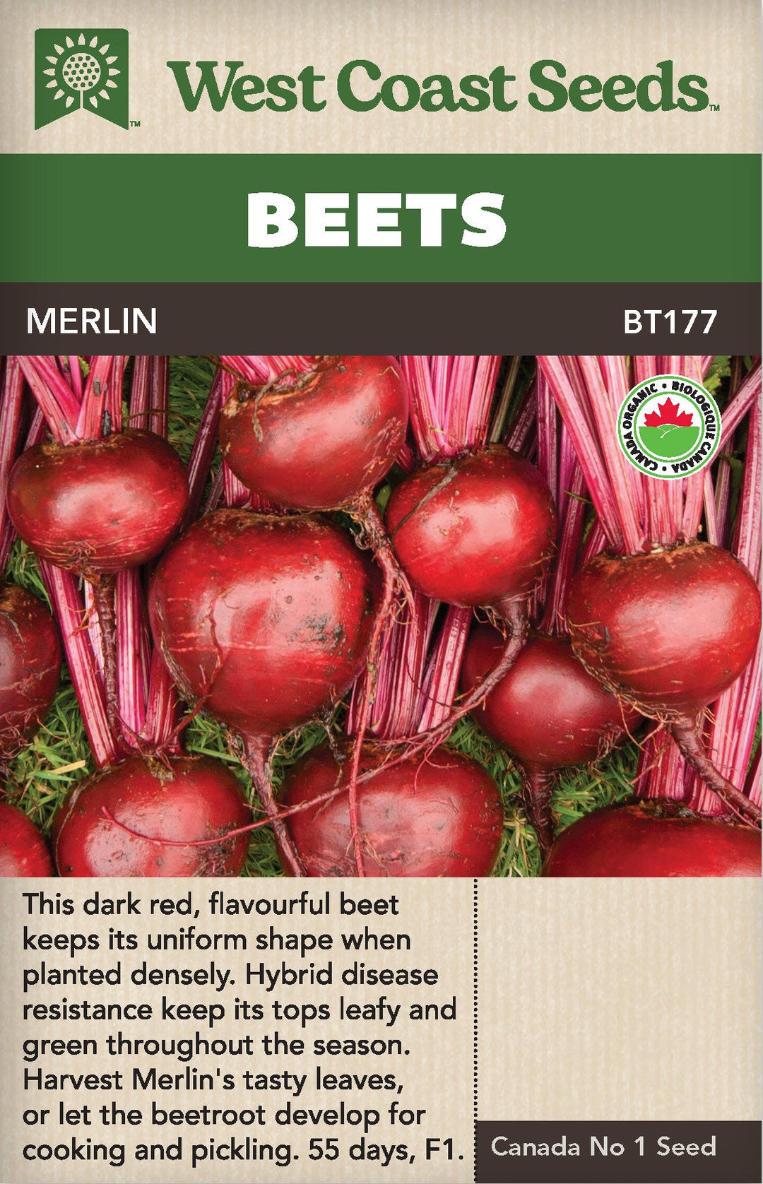 Organic Beet Merlin - West Coast Seeds