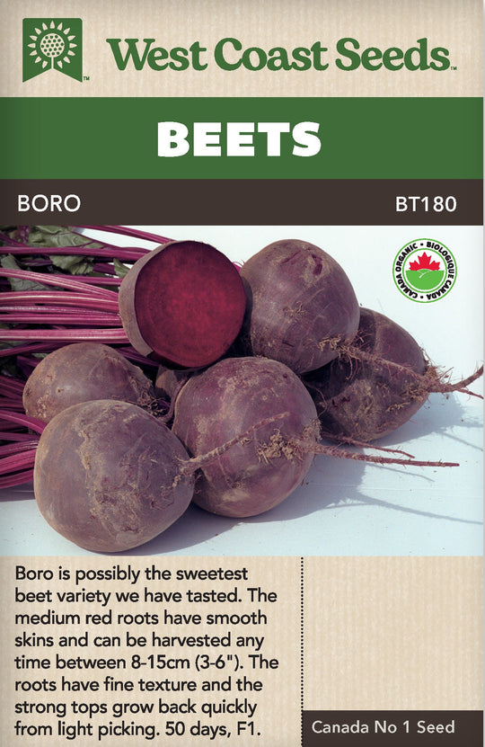 Organic Beet Boro - West Coast Seeds