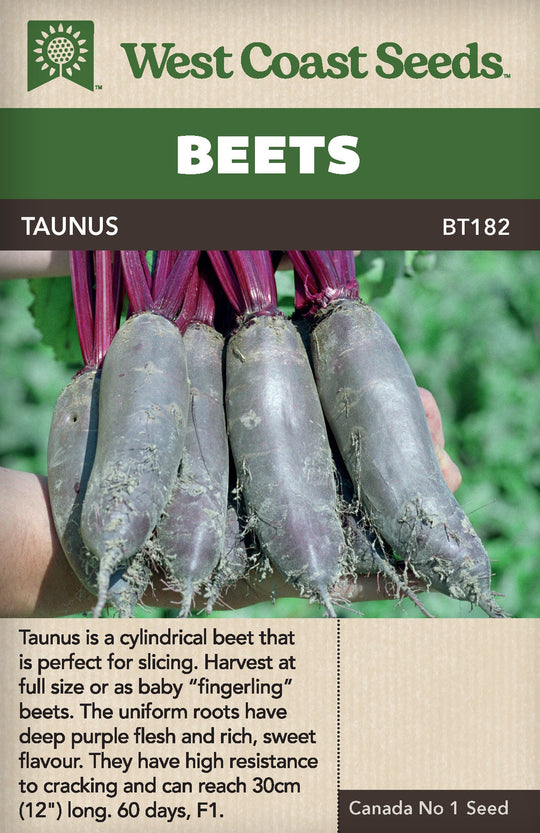 Beet Taunus - West Coast Seeds