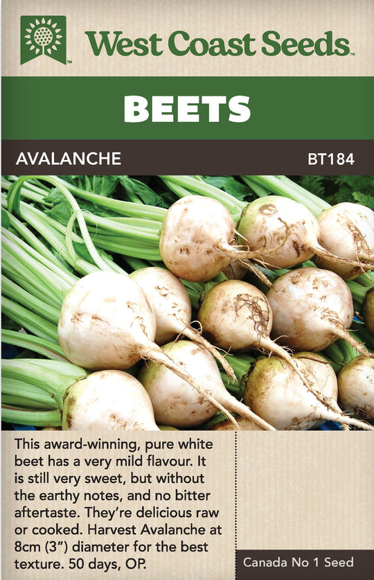 Beet Avalanche - West Coast Seeds
